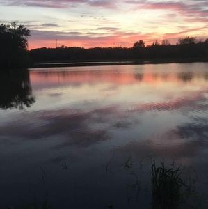 Meet your Posher, Phyllis